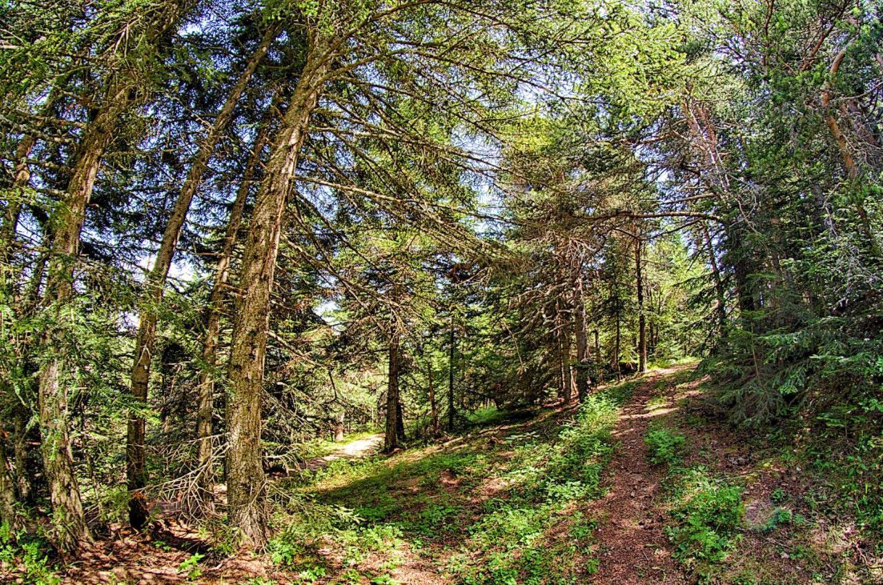 Agriturismo Colline Morghetta Isolabona 외부 사진